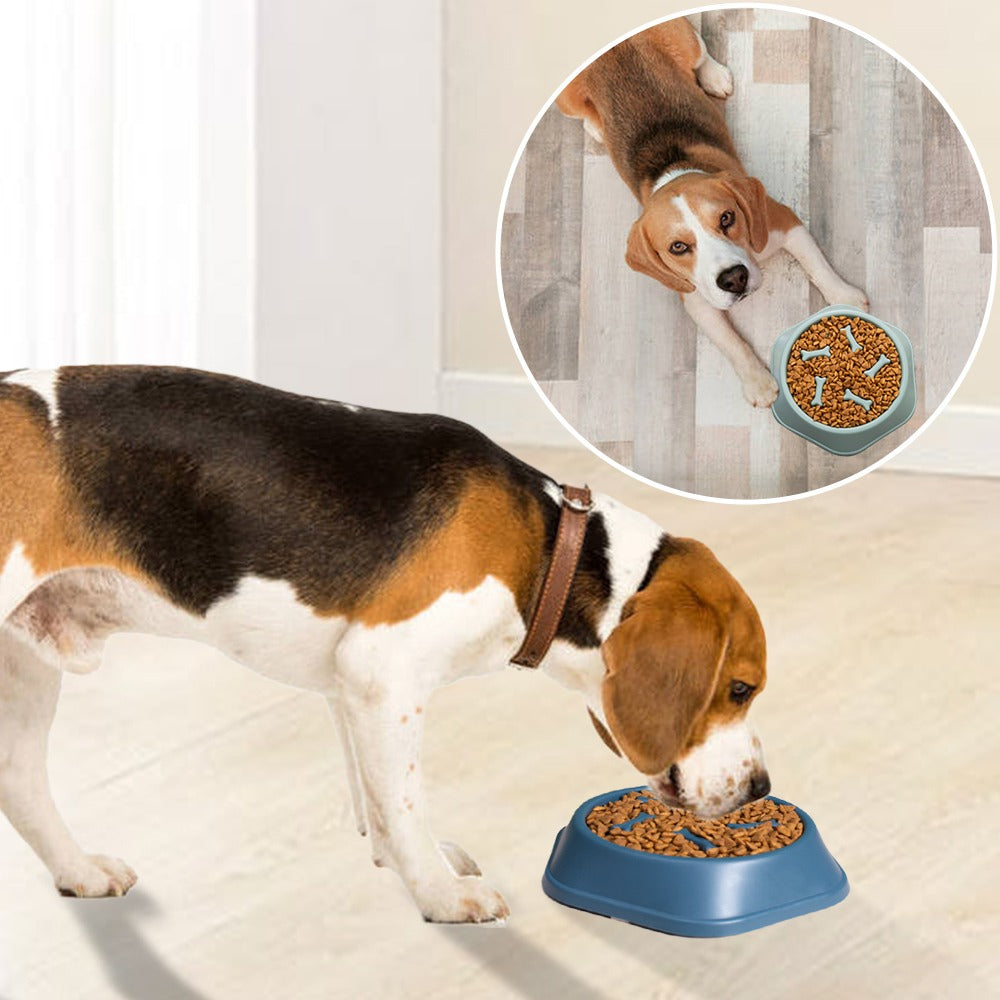 New Pet Dog Feeding Food Bowls Puppy Slow Down Eating Feeder Dish Bowl-Dog Dishes, Feeders & Fountains-AULEY