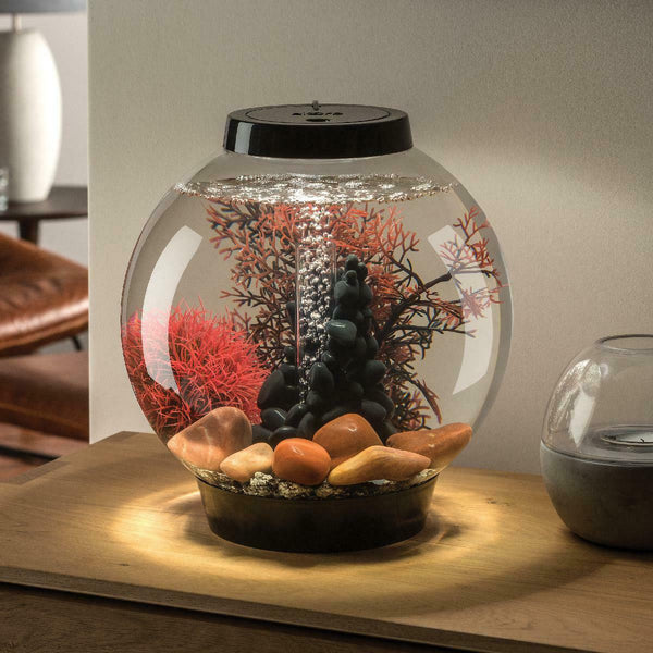 Biorb Classic Aquarium With All Decor And Accessories Included - White Led Light-decoration peice-AULEY