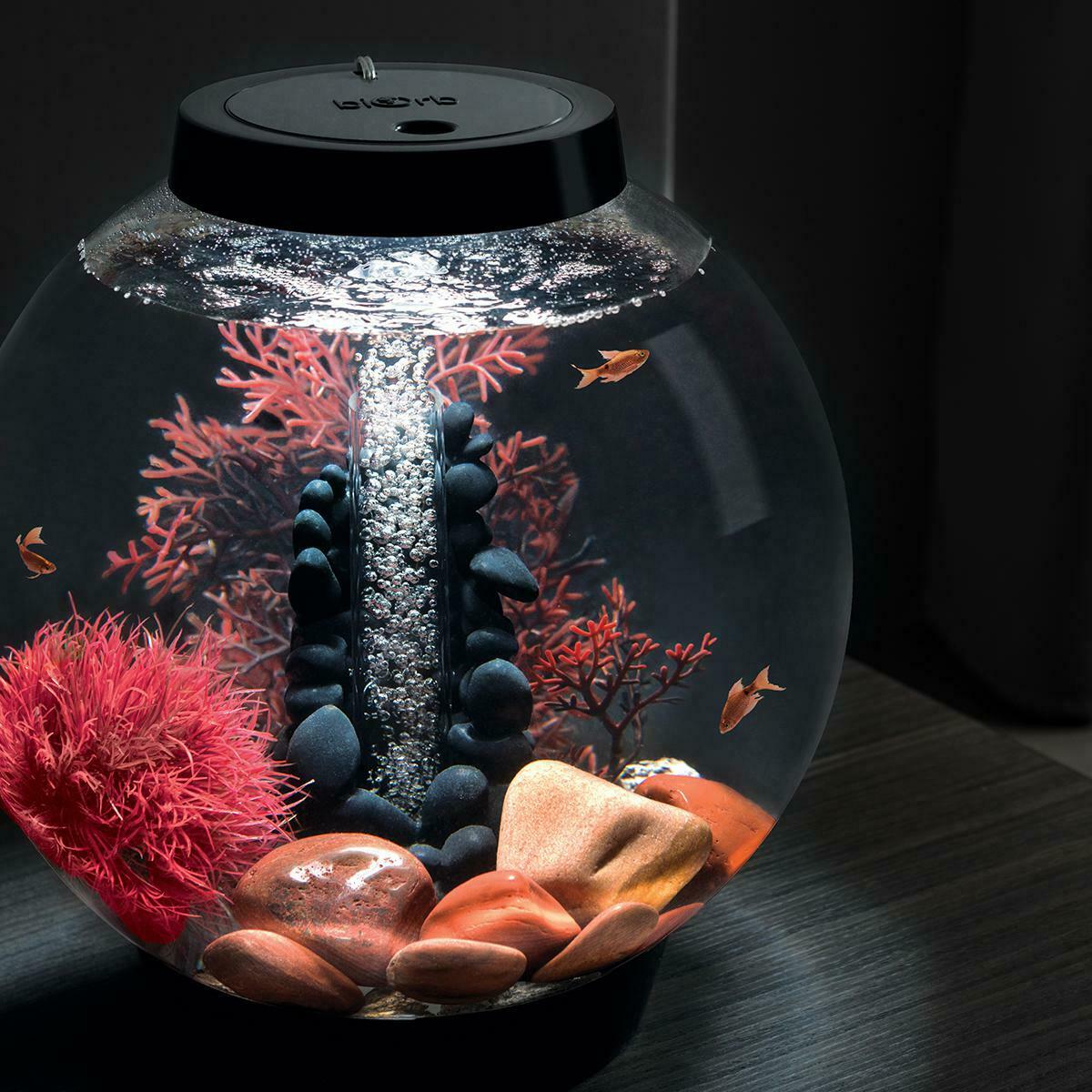 Biorb Classic Aquarium With All Decor And Accessories Included - White Led Light-decoration peice-AULEY