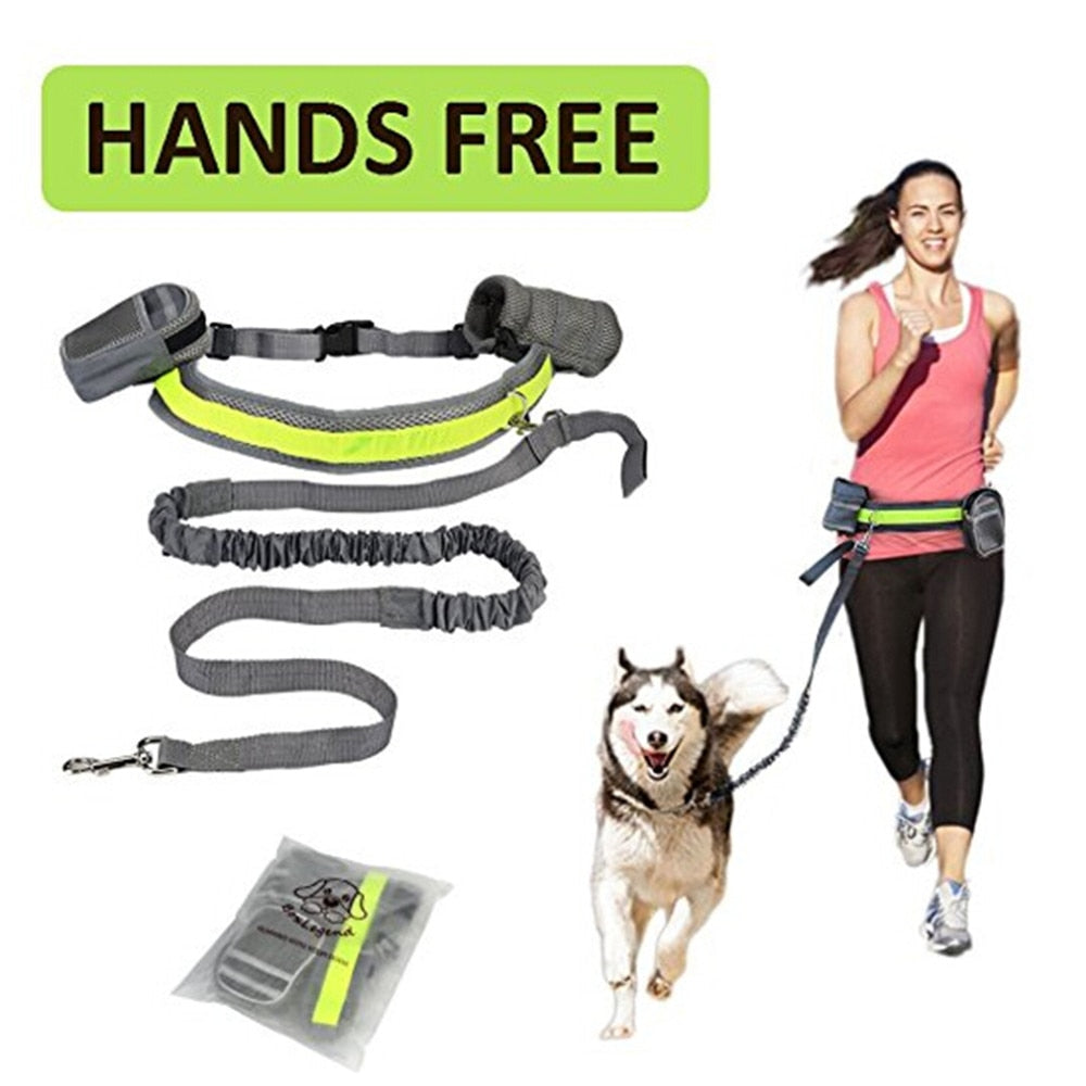 Hands Free Reflective Strip Elastic Leash-Leashes-AULEY